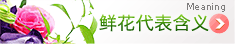 \I̽QD